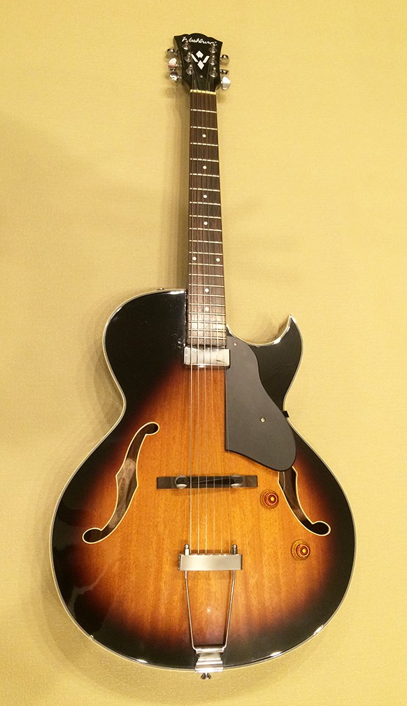 washburn mandolin serial numbers